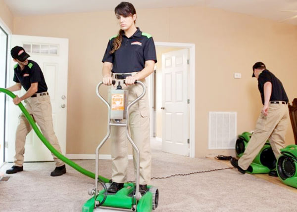 Top carpet cleaning companies in Toronto with Pamir Carpet Cleaning